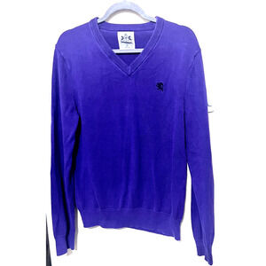 Express Mens Sweater V Neck Long Sleeve Casual Purple Cotton sz M